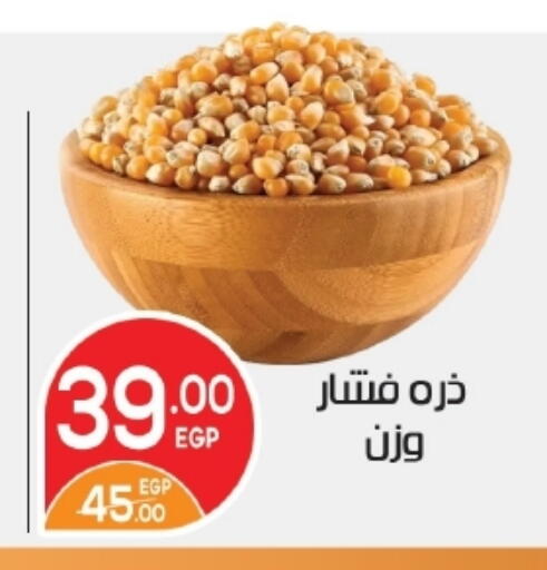 available at زاهر in Egypt - القاهرة
