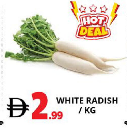 Radish available at اكسبرس المدينة هايبرماركت in الإمارات العربية المتحدة , الامارات - أبو ظبي