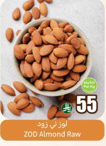 available at Othaim Markets in KSA, Saudi Arabia, Saudi - Al Hasa