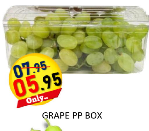 available at رويال جلف هايبرماركت in الإمارات العربية المتحدة , الامارات - أبو ظبي