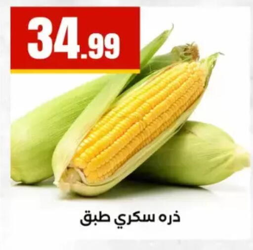 available at مارت فيل in Egypt - القاهرة