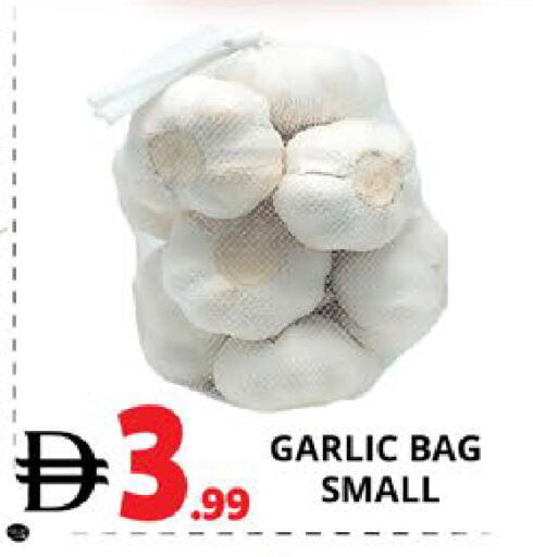 Garlic available at اكسبرس المدينة هايبرماركت in الإمارات العربية المتحدة , الامارات - أبو ظبي
