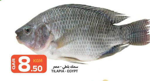 available at البلدي اليوم in قطر - الضعاين