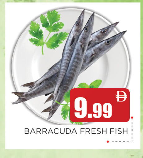 available at عين المدينة هايبرماركت in الإمارات العربية المتحدة , الامارات - الشارقة / عجمان