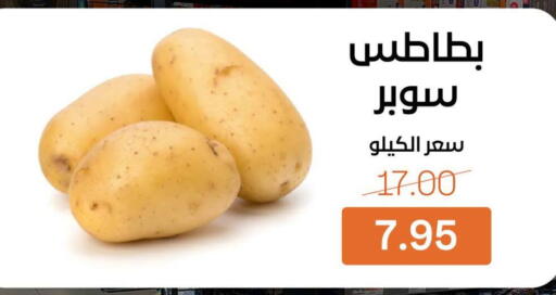 available at بيت الجملة in Egypt - القاهرة