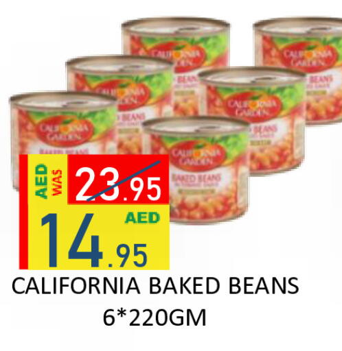 available at رويال جلف هايبرماركت in الإمارات العربية المتحدة , الامارات - أبو ظبي