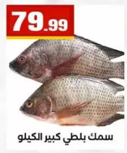 available at مارت فيل in Egypt - القاهرة