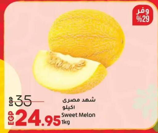 Melon available at Lulu Hypermarket  in Egypt
