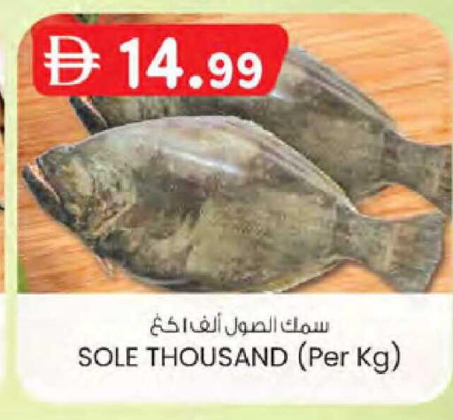 available at ك. الم. للتجارة in الإمارات العربية المتحدة , الامارات - دبي