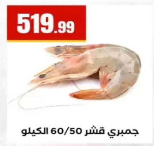 available at المحلاوي ستورز in Egypt - القاهرة