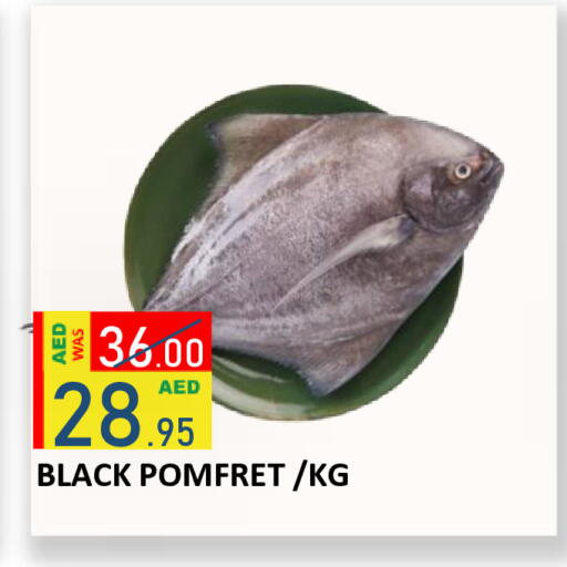 available at رويال جلف هايبرماركت in الإمارات العربية المتحدة , الامارات - أبو ظبي