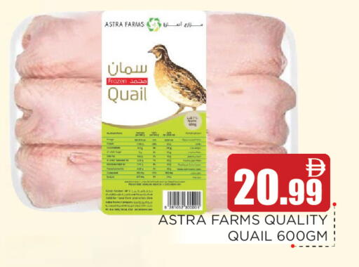 available at عين المدينة هايبرماركت in الإمارات العربية المتحدة , الامارات - الشارقة / عجمان