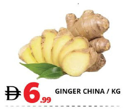 Ginger from China available at اكسبرس المدينة هايبرماركت in الإمارات العربية المتحدة , الامارات - أبو ظبي