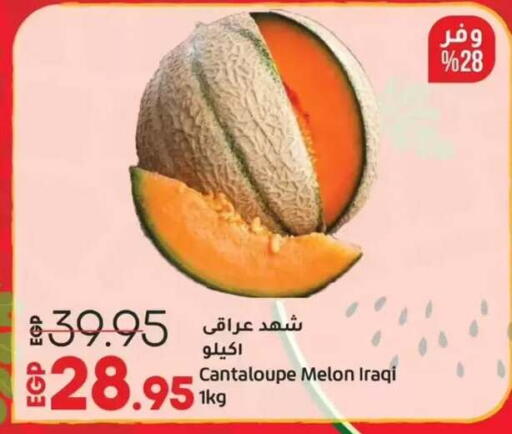Cantaloupe Melon from Iraq available at Lulu Hypermarket  in Egypt