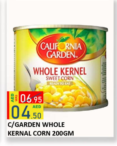 available at رويال جلف هايبرماركت in الإمارات العربية المتحدة , الامارات - أبو ظبي