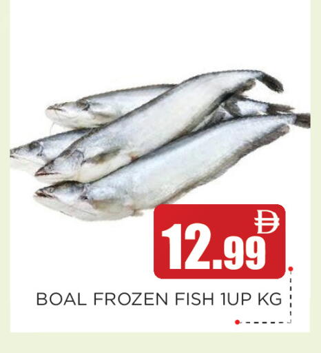 available at عين المدينة هايبرماركت in الإمارات العربية المتحدة , الامارات - الشارقة / عجمان
