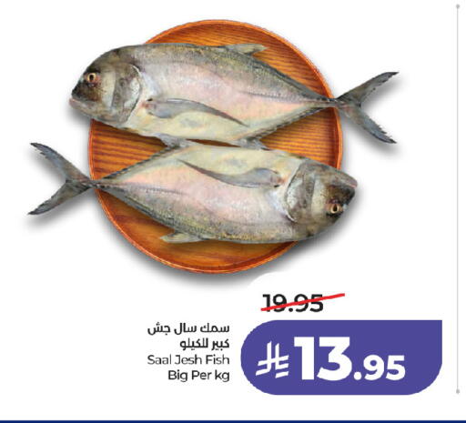 available at لولو هايبرماركت in مملكة العربية السعودية, السعودية, سعودية - جدة