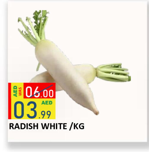 Radish available at رويال جلف هايبرماركت in الإمارات العربية المتحدة , الامارات - أبو ظبي