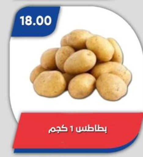 available at باسم ماركت in Egypt - القاهرة