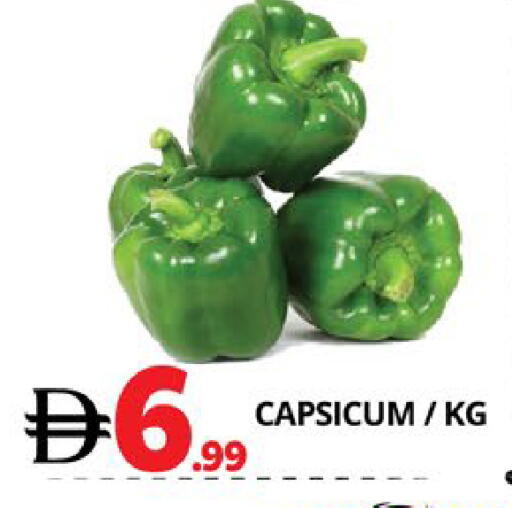 Capsicum available at اكسبرس المدينة هايبرماركت in الإمارات العربية المتحدة , الامارات - أبو ظبي