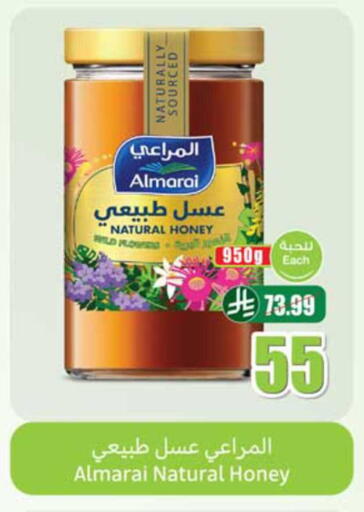 available at Othaim Markets in KSA, Saudi Arabia, Saudi - Al Hasa