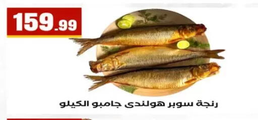 available at مارت فيل in Egypt - القاهرة