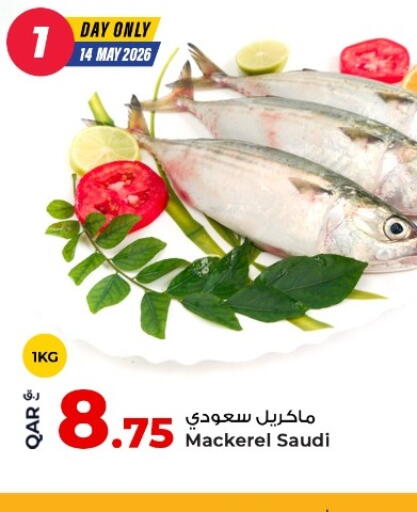 available at روابي هايبرماركت in قطر - الشحانية