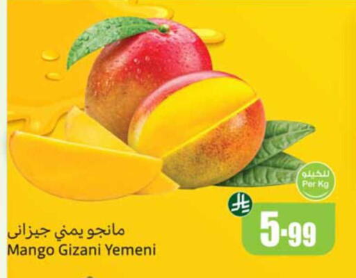 Mango from Yemen available at أسواق عبد الله العثيم in مملكة العربية السعودية, السعودية, سعودية - نجران