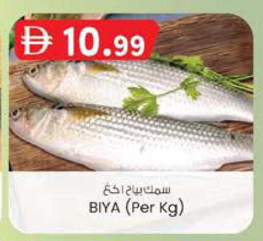 available at ك. الم. للتجارة in الإمارات العربية المتحدة , الامارات - ٱلْفُجَيْرَة‎