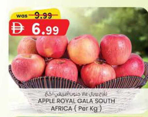 Apple from South Africa available at ك. الم. للتجارة in الإمارات العربية المتحدة , الامارات - ٱلْفُجَيْرَة‎