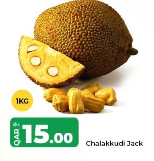 available at روابي هايبرماركت in قطر - الوكرة