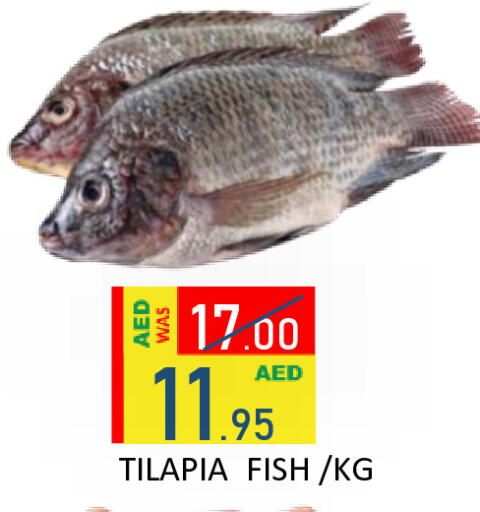 available at رويال جلف هايبرماركت in الإمارات العربية المتحدة , الامارات - أبو ظبي