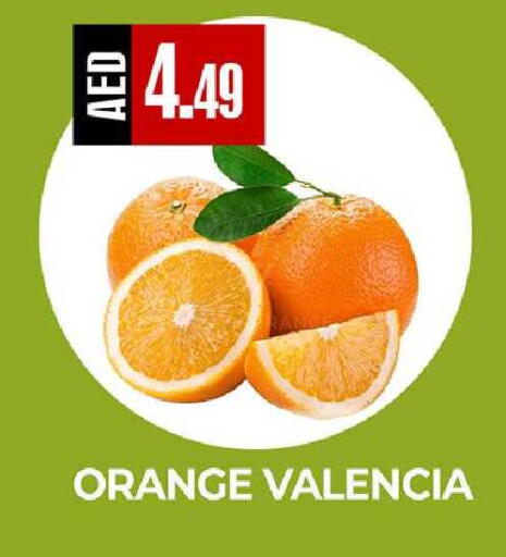 Orange available at  RIVIERA SUPERMARKET L.L.C in UAE - Abu Dhabi