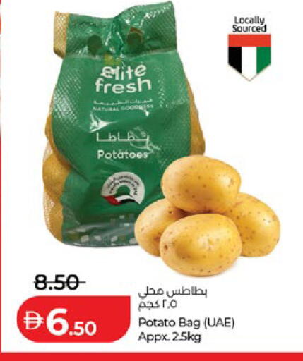 Potato available at Lulu Hypermarket in UAE - Abu Dhabi