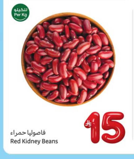 available at Othaim Markets in KSA, Saudi Arabia, Saudi - Al Hasa
