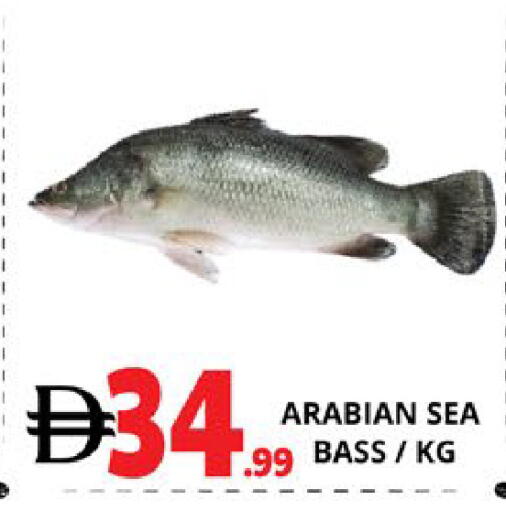 available at اكسبرس المدينة هايبرماركت in الإمارات العربية المتحدة , الامارات - أبو ظبي