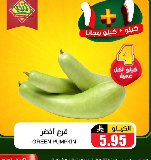Pumpkin available at Prime Supermarket in KSA, Saudi Arabia, Saudi - Al Majmaah