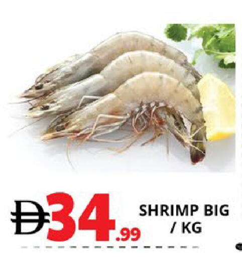 available at اكسبرس المدينة هايبرماركت in الإمارات العربية المتحدة , الامارات - أبو ظبي