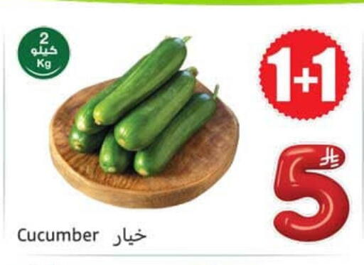 Cucumber available at أسواق عبد الله العثيم in مملكة العربية السعودية, السعودية, سعودية - عرعر