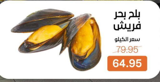 available at بيت الجملة in Egypt - القاهرة