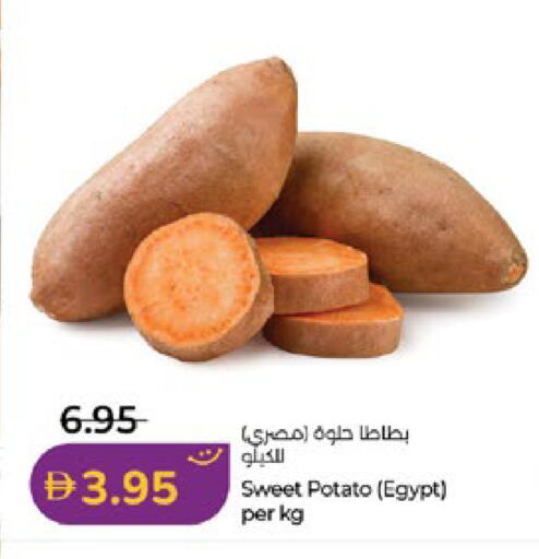 Sweet Potato from Egypt available at Lulu Hypermarket in UAE - Abu Dhabi