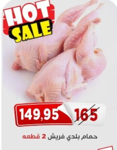 available at اسواق البدر in Egypt - القاهرة