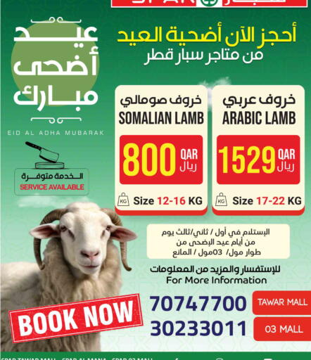 available at ســبــار in قطر - أم صلال
