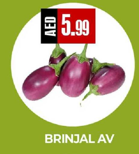 available at  RIVIERA SUPERMARKET L.L.C in UAE - Abu Dhabi