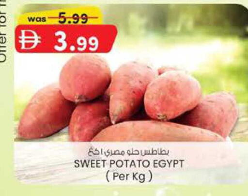Sweet Potato from Egypt available at ك. الم. للتجارة in الإمارات العربية المتحدة , الامارات - ٱلْفُجَيْرَة‎