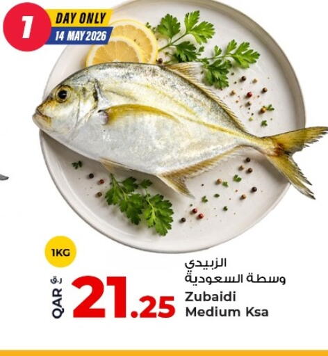 available at روابي هايبرماركت in قطر - الشحانية