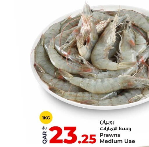 available at روابي هايبرماركت in قطر - الشحانية