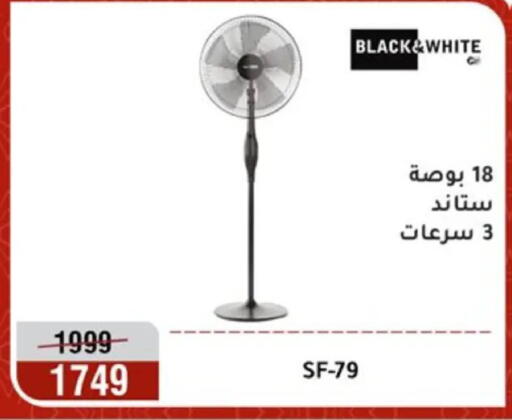 available at المرشدي in Egypt - القاهرة
