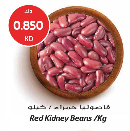 available at جراند هايبر in الكويت - محافظة الجهراء