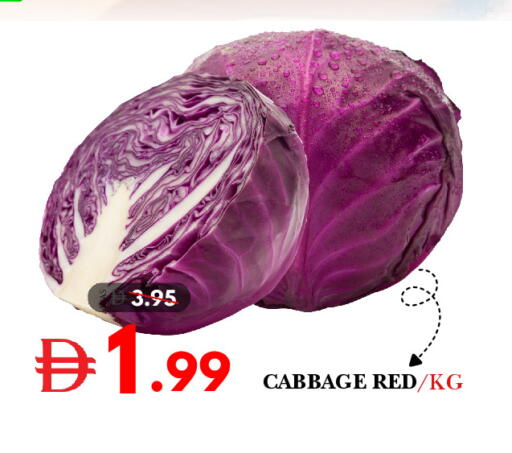 Cabbage available at ديزرت فريش ماركت in الإمارات العربية المتحدة , الامارات - أبو ظبي